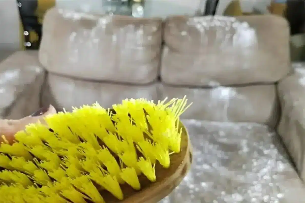 Remover Manchas Impregnadas do Sofá