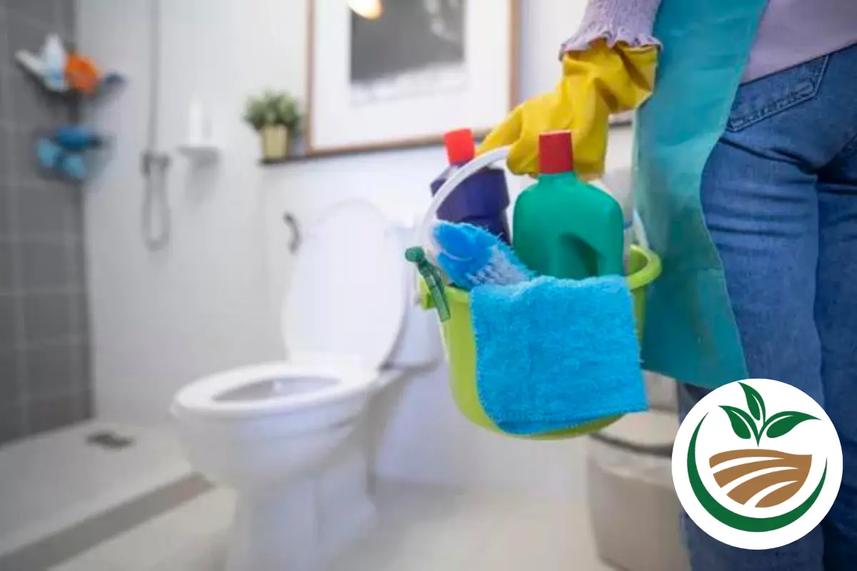 Misturinhas de 3 ingredientes